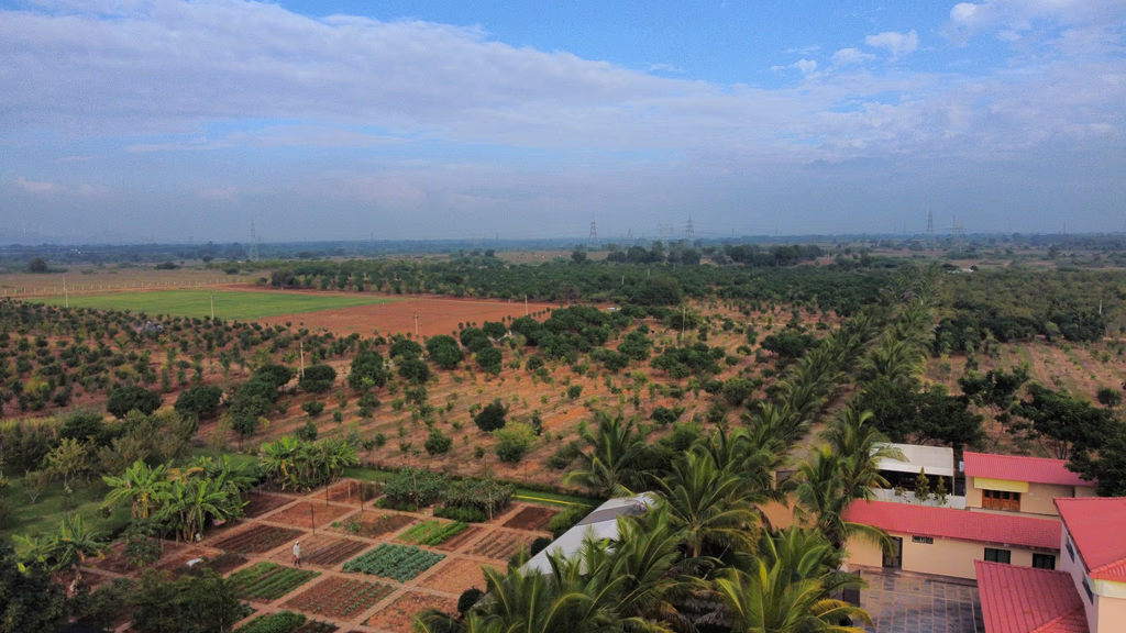 Orchard View