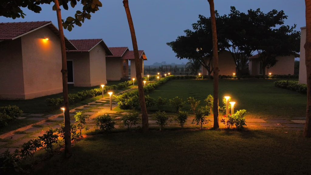 Sandalwood and Mango Trees